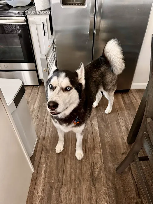Family Companion Animal Care Center 6