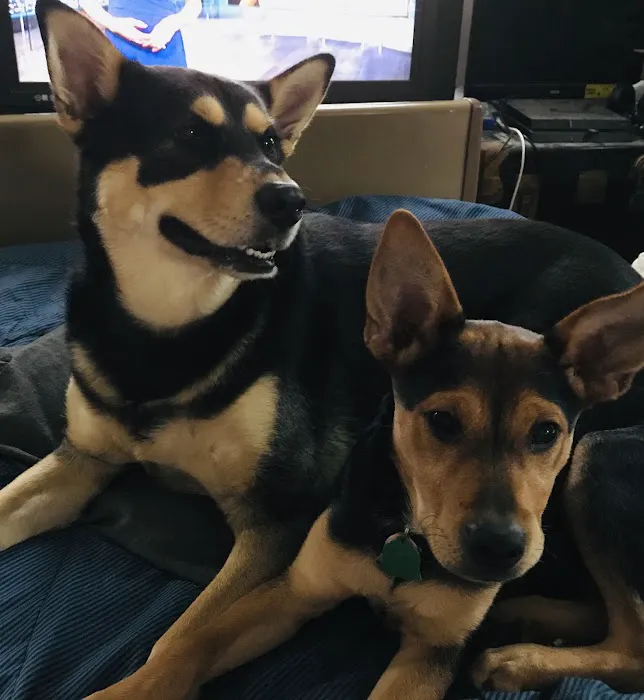 Family Companion Animal Care Center 7
