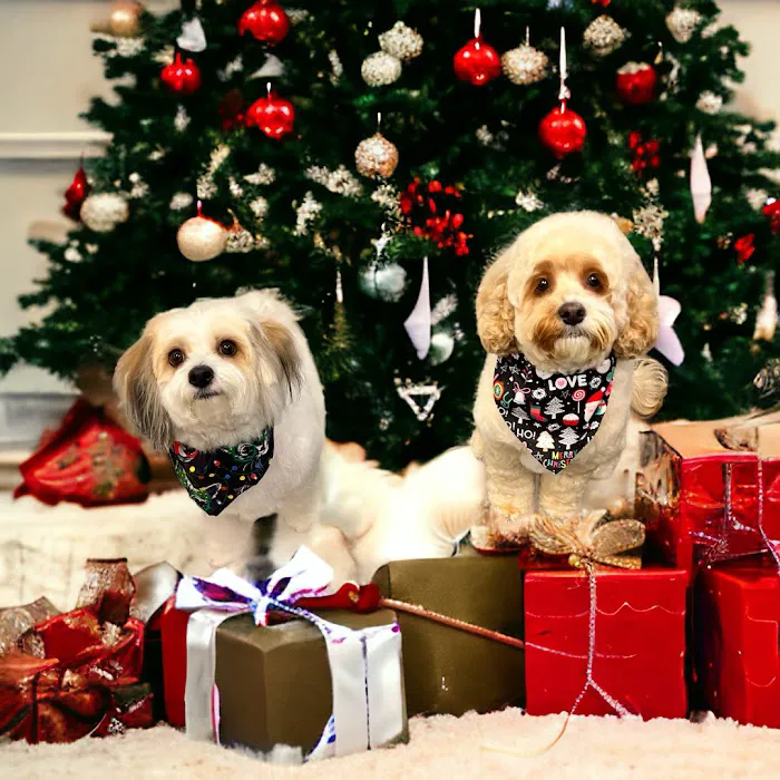 Family Companion Animal Care Center 10