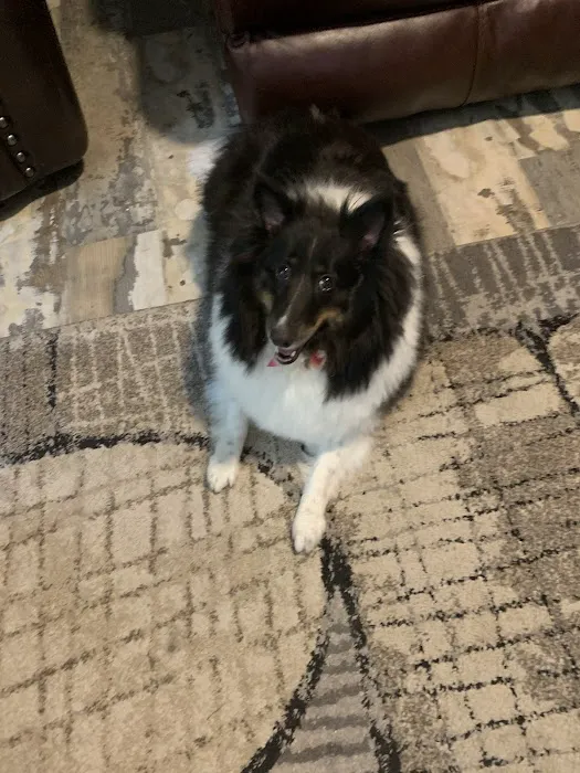 Family Companion Animal Care Center 8
