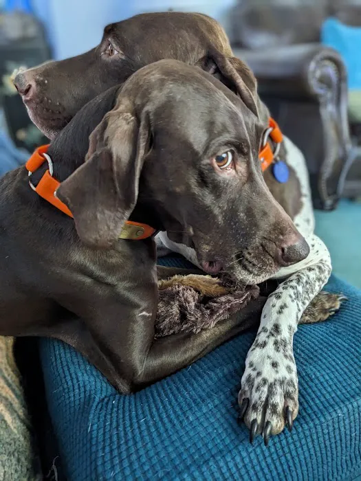 Mentor Animal Hospital 1