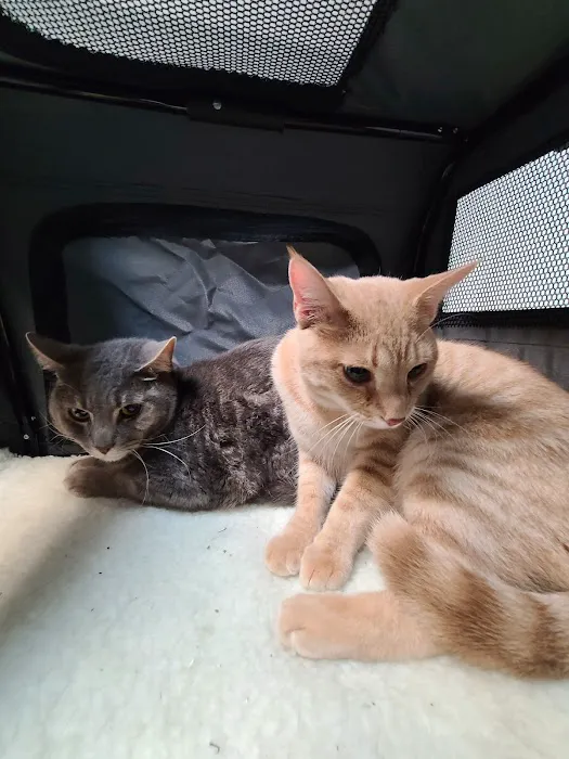 Mentor Animal Hospital 4