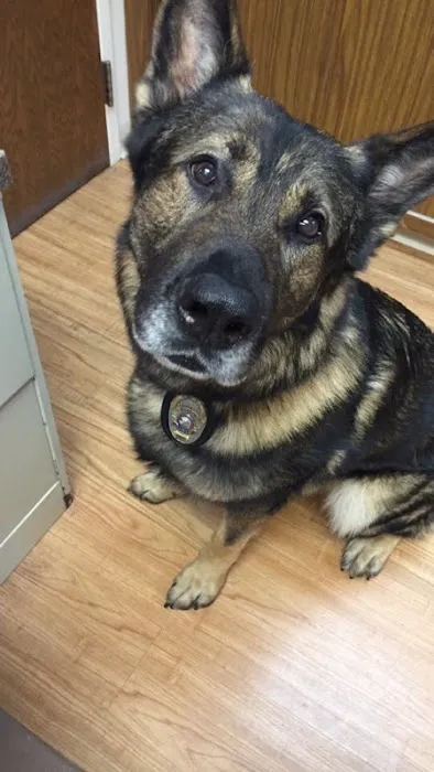Lake Shore Animal Hospital 3