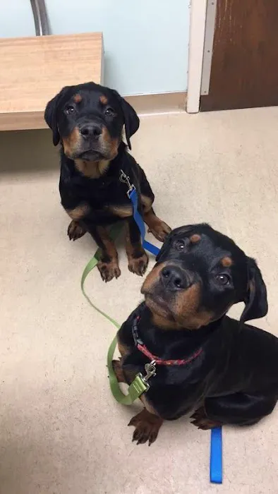 Lake Shore Animal Hospital 7