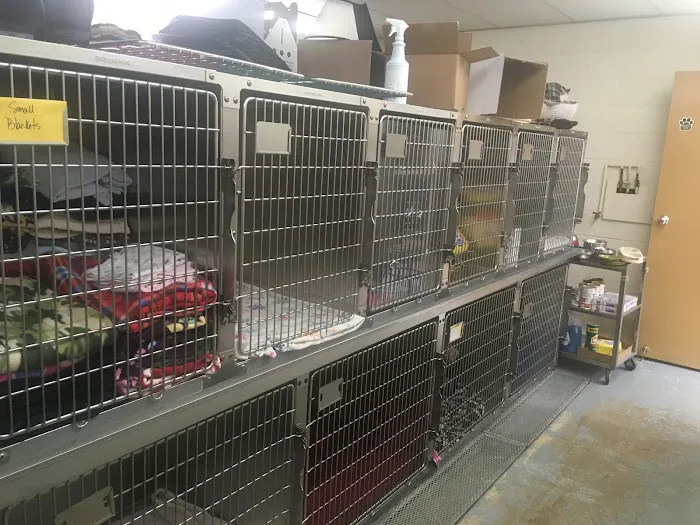 Lake Shore Animal Hospital 9