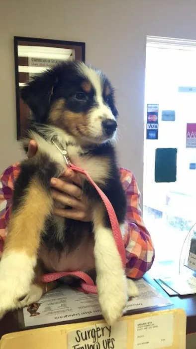 Lake Shore Animal Hospital 10