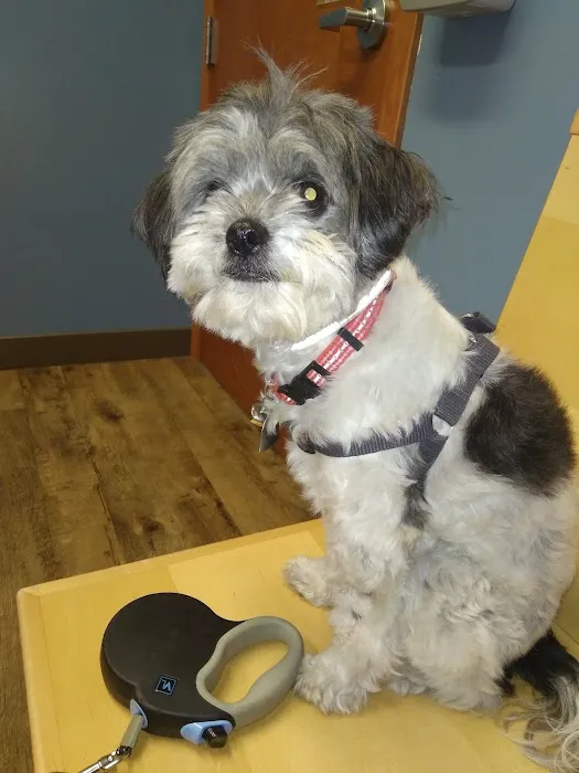 Countryside Veterinary Service - Middlefield 6