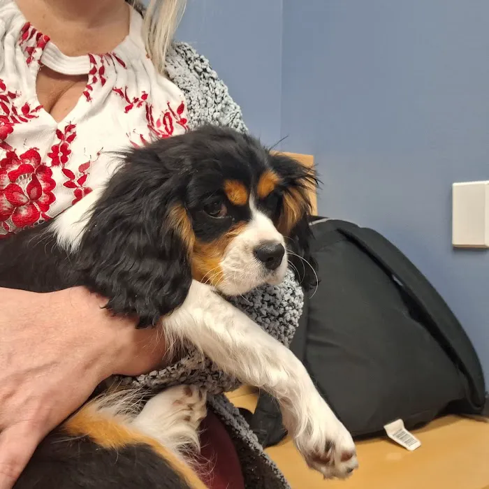Countryside Veterinary Service - Middlefield 8