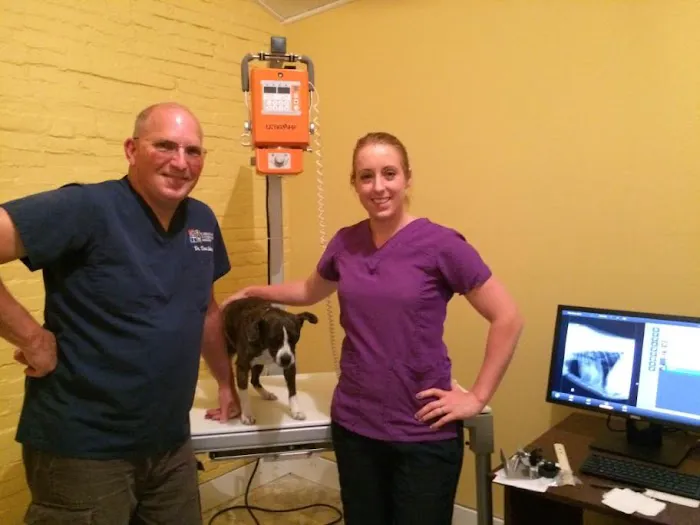 Country View Vet Service 3