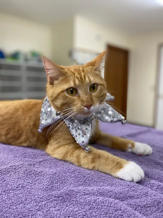 Lindquist Veterinary Care Center 1