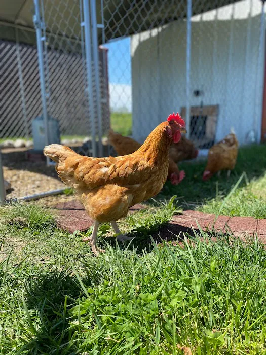 Lindquist Veterinary Care Center 8