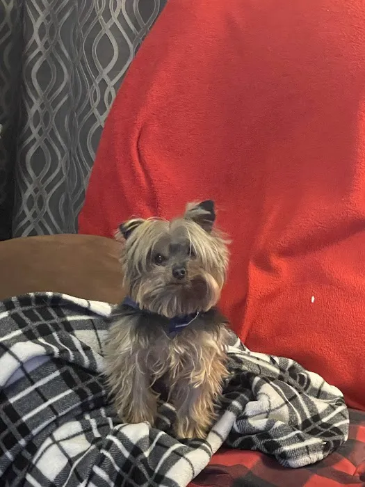 Cedar Creek Veterinary Clinic LLC 5