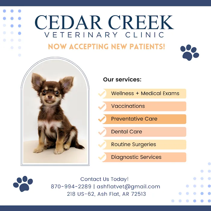 Cedar Creek Veterinary Clinic LLC 6