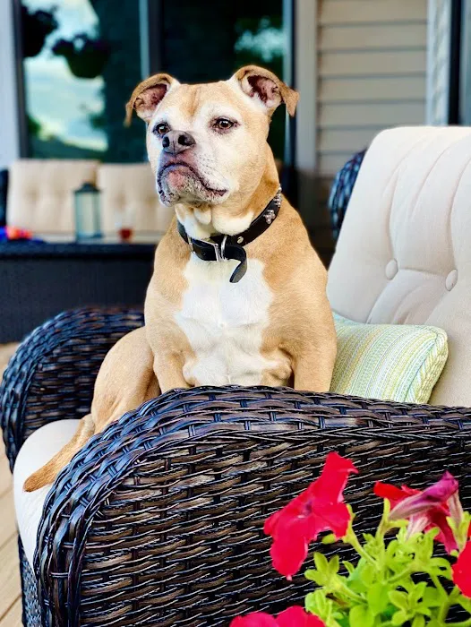 Parkview Animal Hospital 1