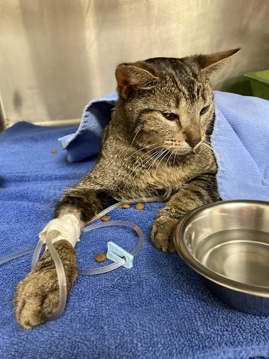 Parkview Animal Hospital 3