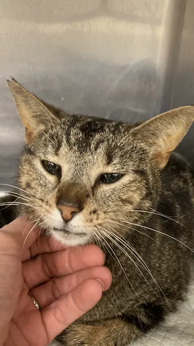 Parkview Animal Hospital 6