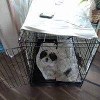 Anderson Animal Hospital ico