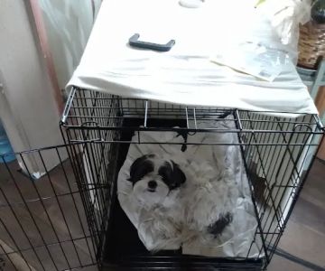 Anderson Animal Hospital
