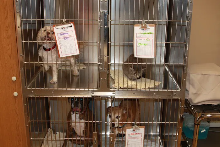 Flanary Veterinary Clinic 4