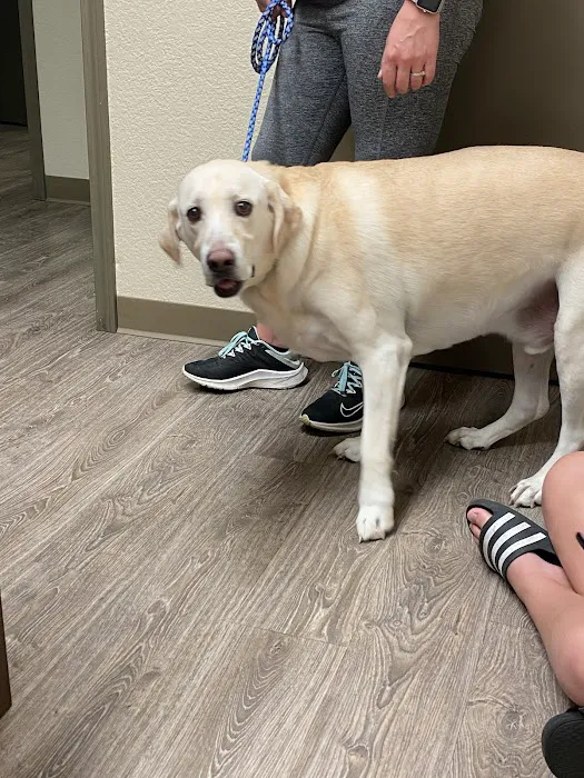 Scott City Animal Clinic 6