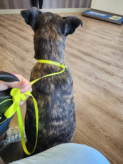 Scott City Animal Clinic 4