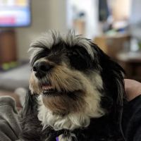 Scott City Animal Clinic ico
