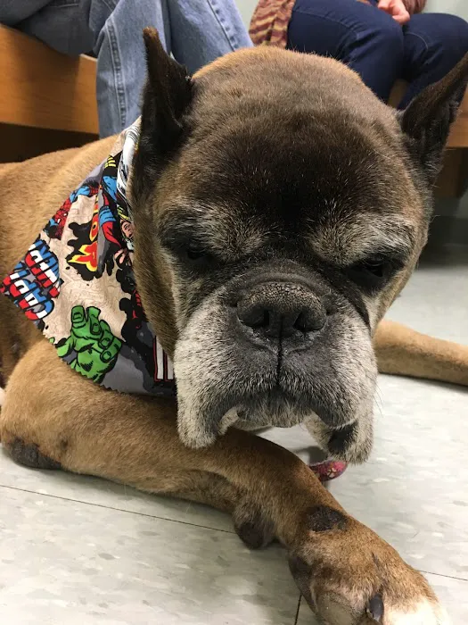 Deer Ridge Animal Hospital 9