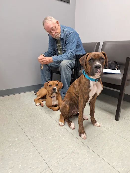 Deer Ridge Animal Hospital 1