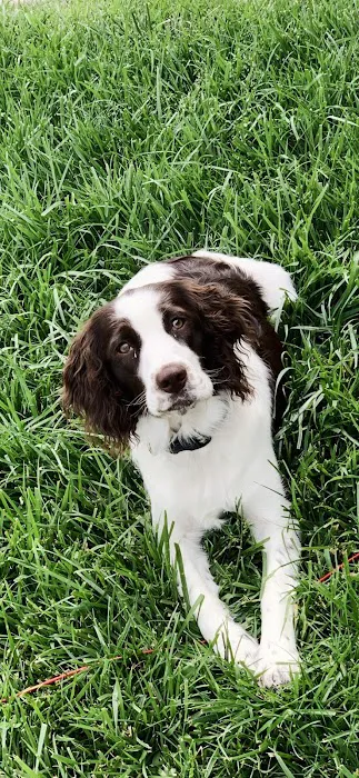 Jackson Veterinary Clinic 5