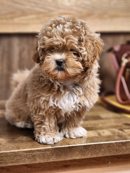 Jackson Veterinary Clinic 9