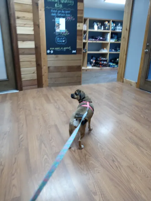 Jackson Veterinary Clinic 10