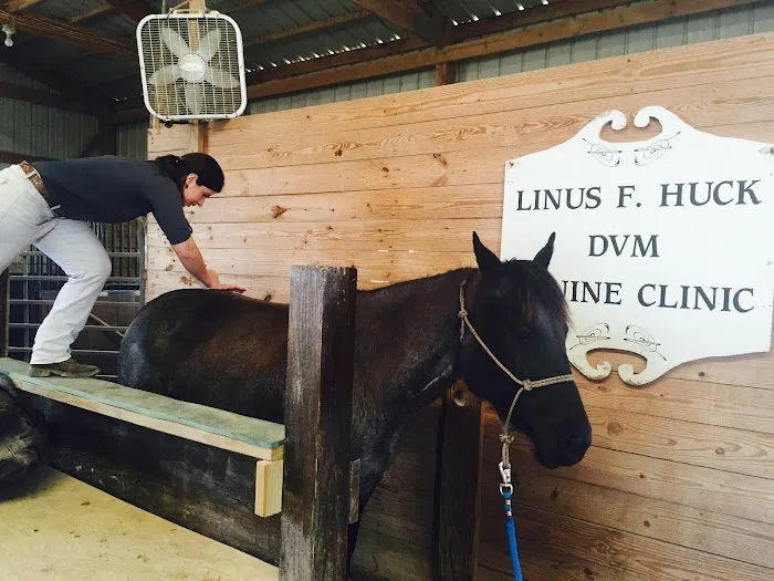 Huck Equine Clinic 1