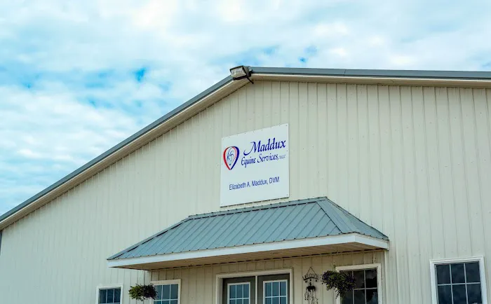 Crittenden County Animal Clinic 9