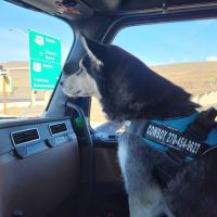 Crittenden County Animal Clinic ico