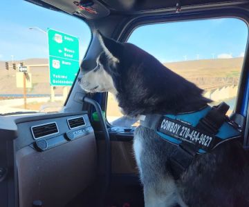 Crittenden County Animal Clinic
