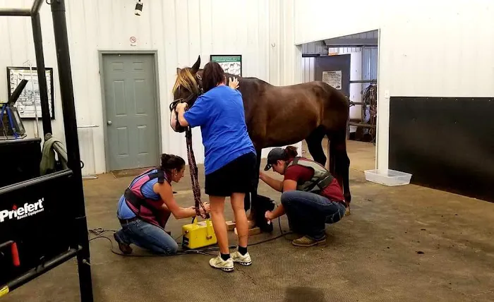 Crittenden County Animal Clinic 8