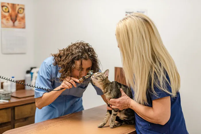 Crittenden County Animal Clinic 4
