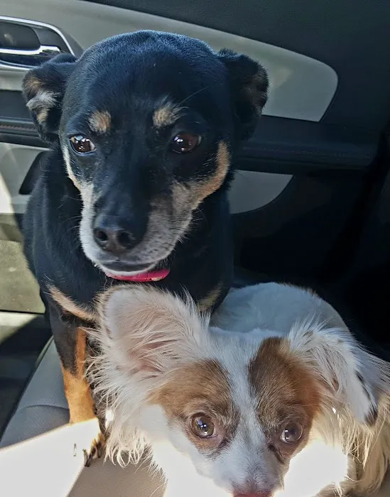 Crittenden County Animal Clinic 2