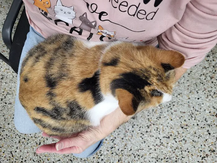 Animal Medical Center 8
