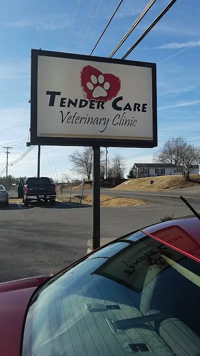 Tender Care Veterinary Clinic 7