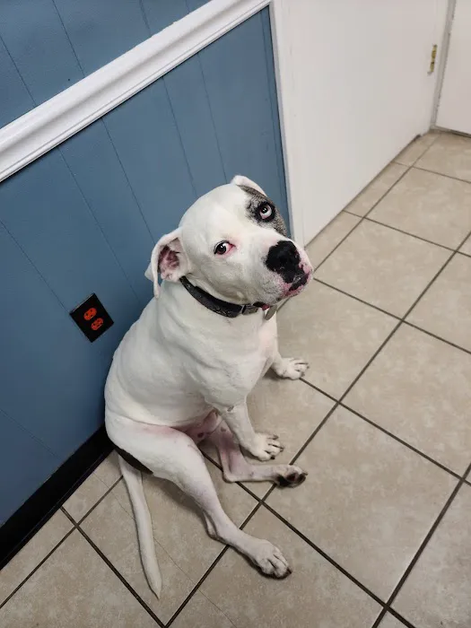Tender Care Veterinary Clinic 5