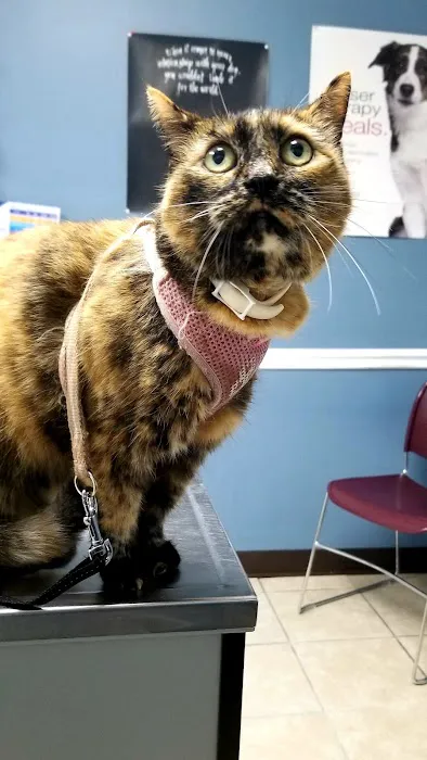 Tender Care Veterinary Clinic 6