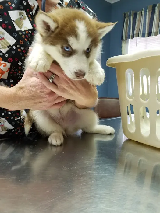 Tender Care Veterinary Clinic 10