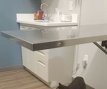 Dr. Badger. DVM, CVC, CVA