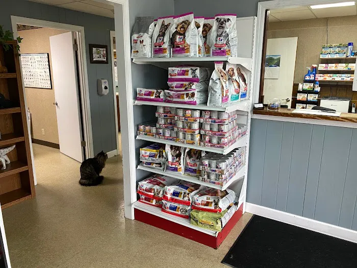 Lakeland Animal Hospital 6