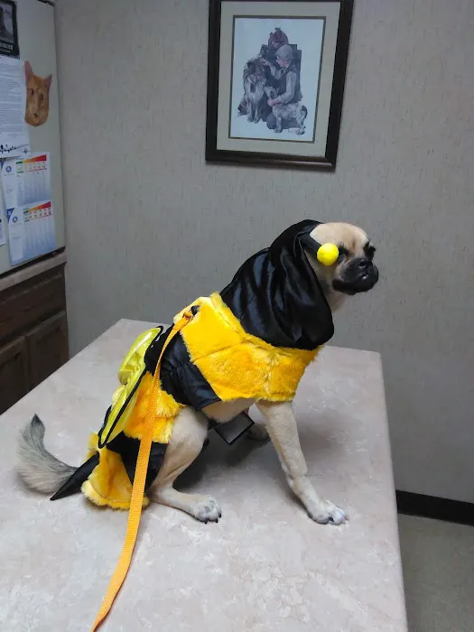 Lakeland Animal Hospital 3