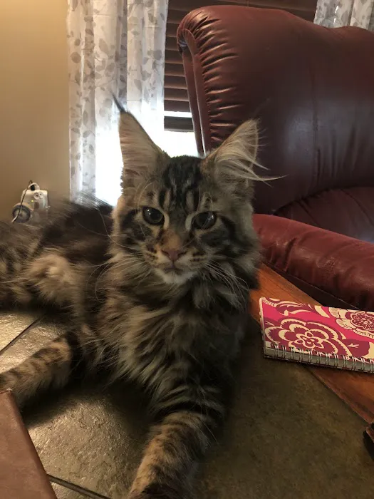 Lakeland Animal Hospital 1