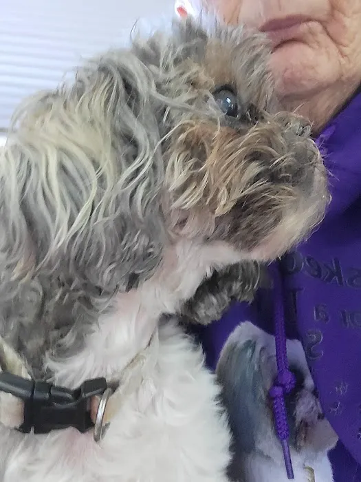 Lakeland Animal Hospital 8
