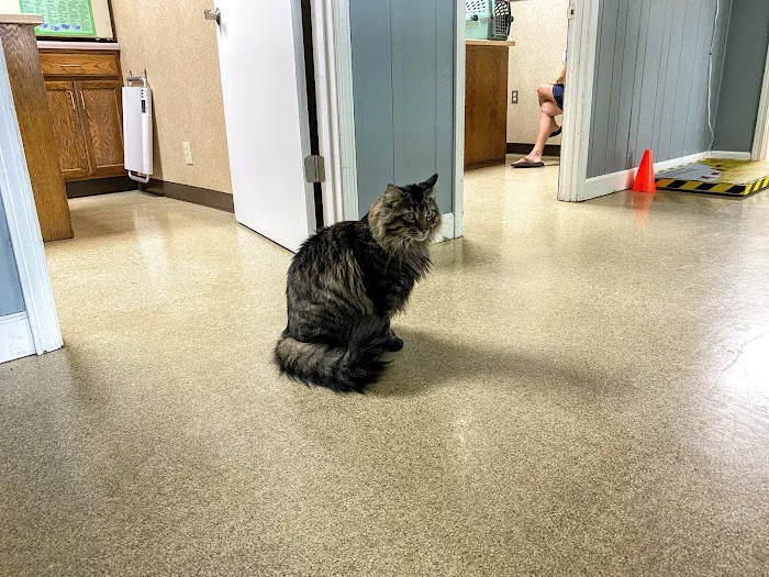 Lakeland Animal Hospital 5