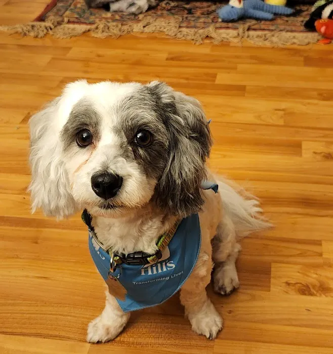 Lakeland Animal Hospital 7